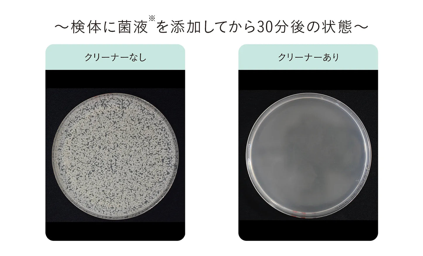 【iroha】 ITEM CLEANER