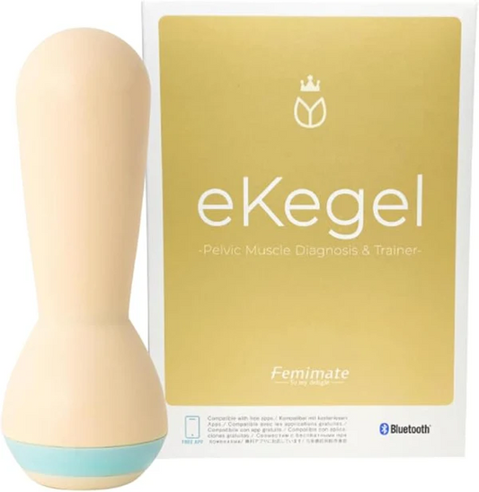 Femimate　eKegel （トレーニング）
