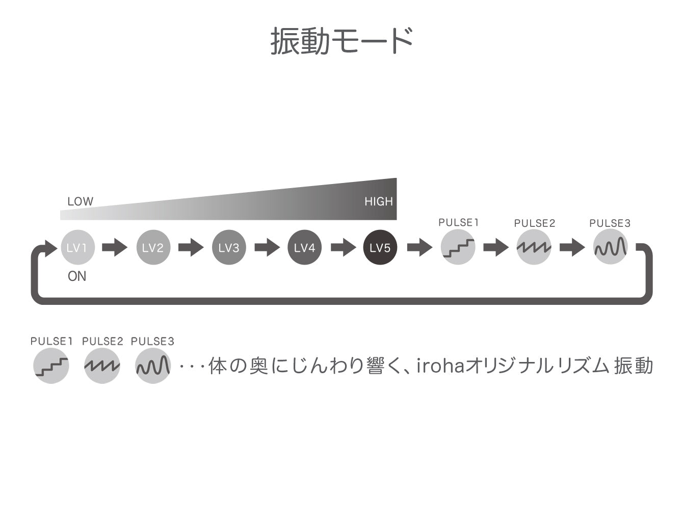 【iroha】SVR PLUS