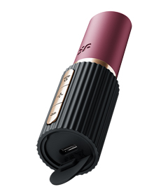 【Satisfyer】Pro2Kiss