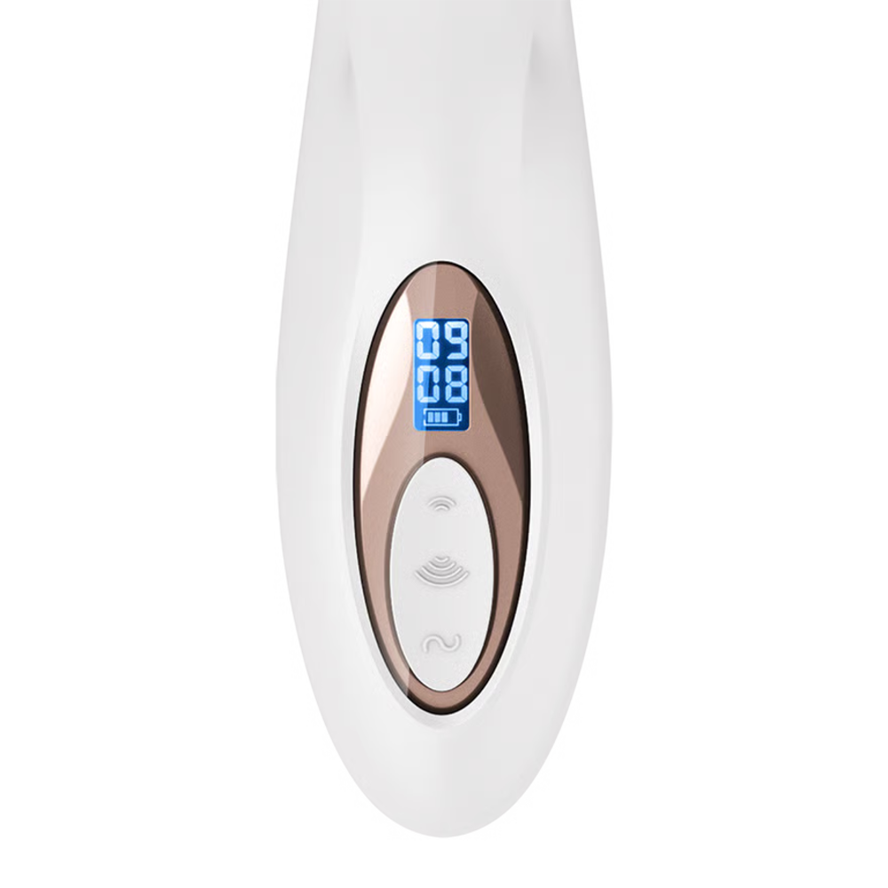 【Satisfyer】 PRO+G-SPOT Generation2