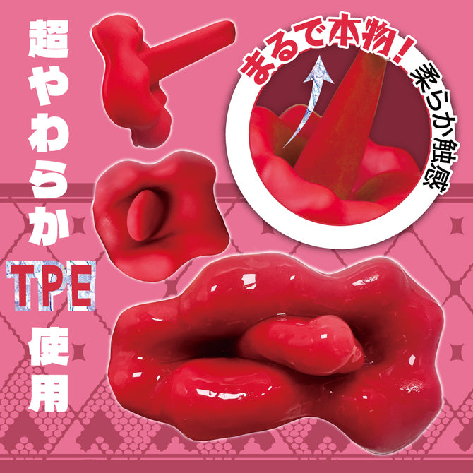 【T-BEST】ベロビッチ